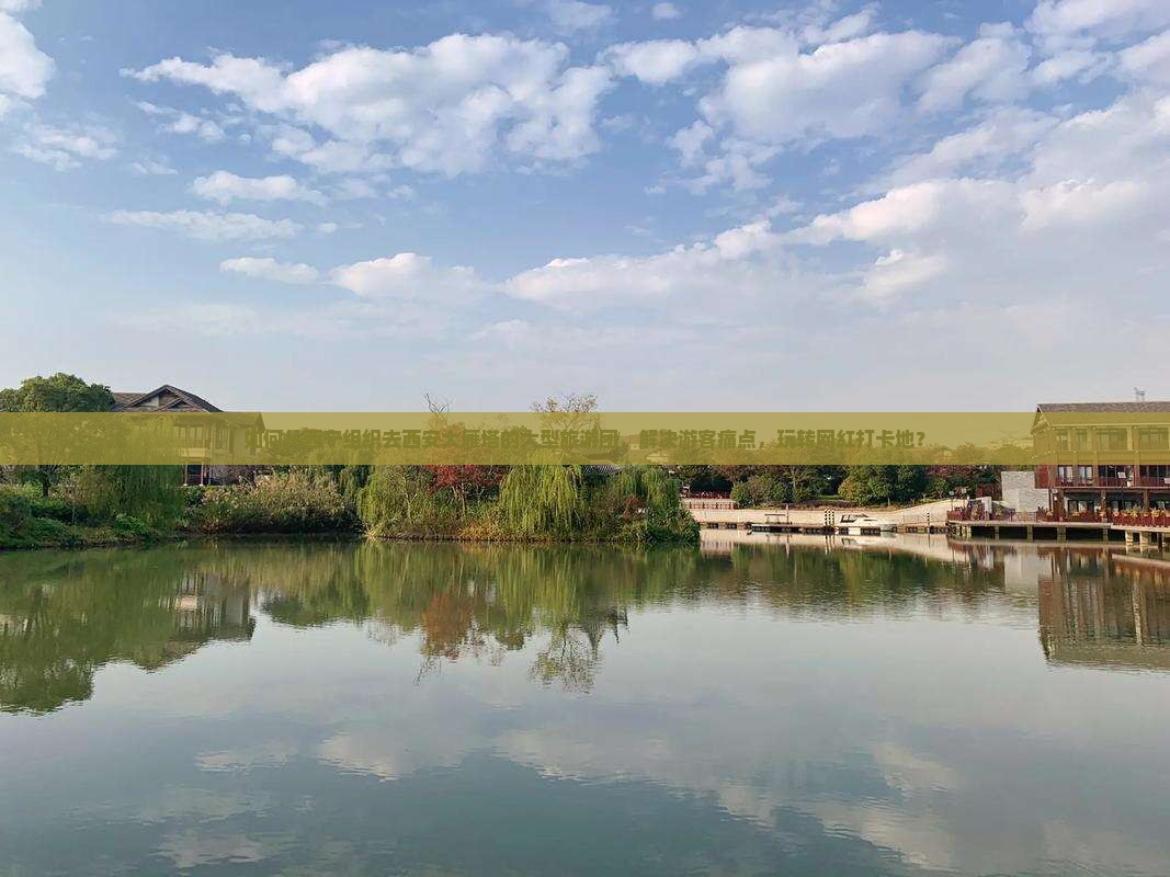 如何从西宁组织去西安大雁塔的大型旅游团，解决游客痛点，玩转网红打卡地？