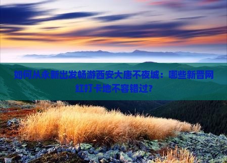 如何从永新出发畅游西安大唐不夜城：哪些新晋网红打卡地不容错过？