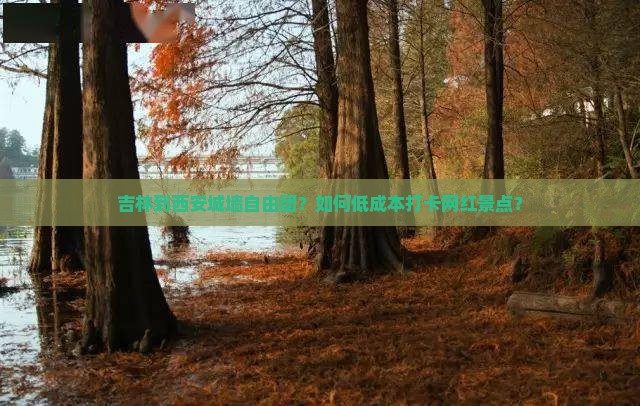 吉林到西安城墙自由团？如何低成本打卡网红景点？