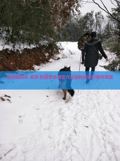 如何规划从 来宾 到西安华清宫六日游的详细行程与预算？