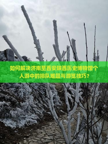 如何解决济南至西安陕西历史博物馆个人游中的排队难题与游览技巧？