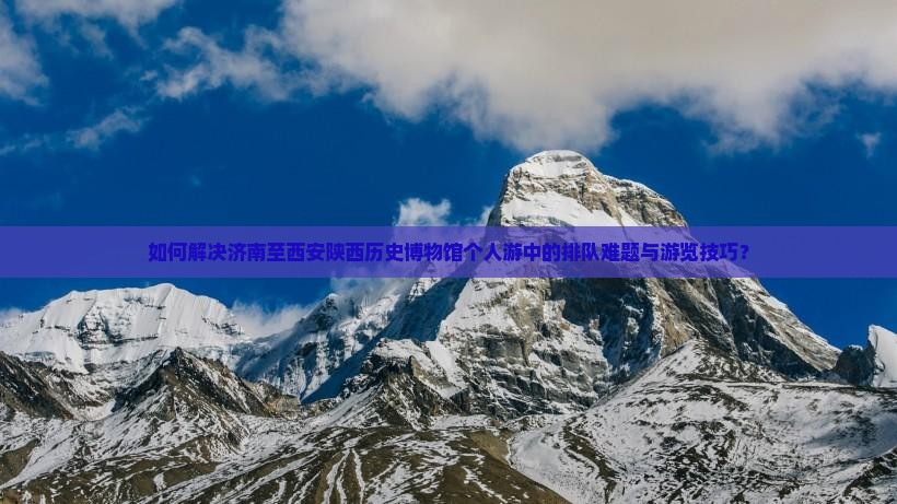 如何解决济南至西安陕西历史博物馆个人游中的排队难题与游览技巧？