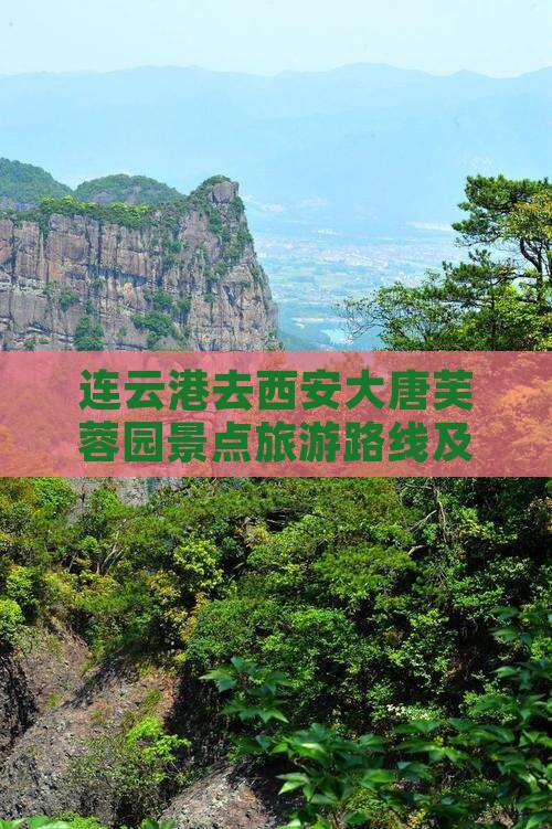 连云港去西安大唐芙蓉园景点旅游路线及介绍