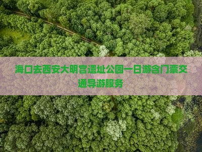 海口去西安大明宫遗址公园一日游含门票交通导游服务