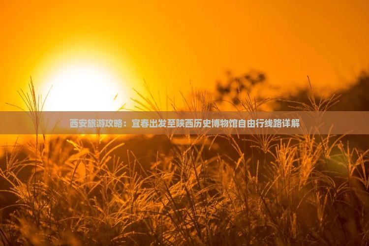 西安旅游攻略：宜春出发至陕西历史博物馆自由行线路详解