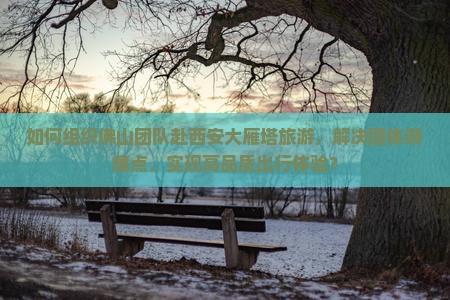 如何组织佛山团队赴西安大雁塔旅游，解决团体游痛点，实现高品质出行体验？