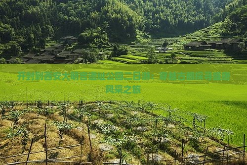 开封到西安大明宫遗址公园二日游：穿越古都探寻盛唐风采之旅