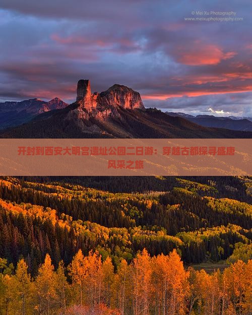 开封到西安大明宫遗址公园二日游：穿越古都探寻盛唐风采之旅