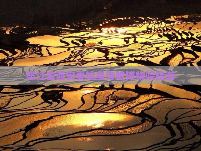 怒江去西安秦始皇帝陵博物院旅游