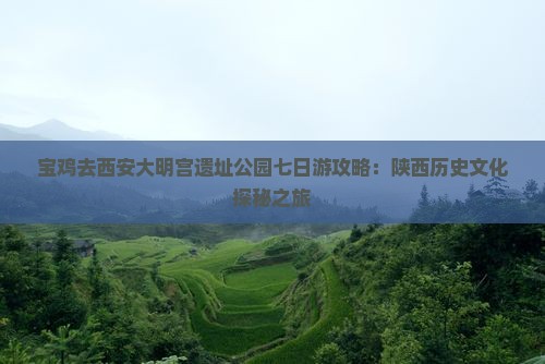 宝鸡去西安大明宫遗址公园七日游攻略：陕西历史文化探秘之旅