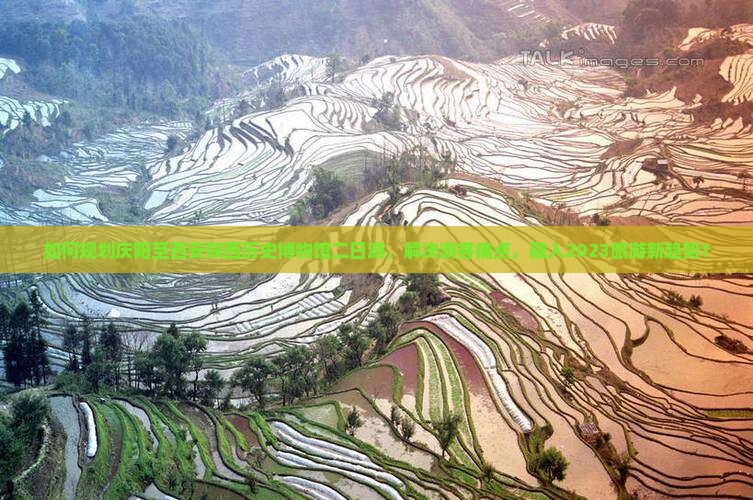 如何规划庆阳至西安陕西历史博物馆二日游，解决游客痛点，融入2023旅游新趋势？