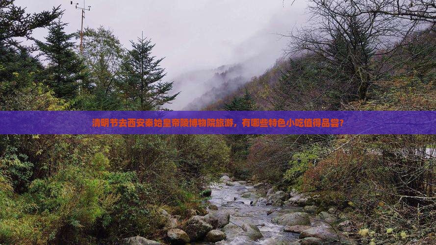 清明节去西安秦始皇帝陵博物院旅游，有哪些特色小吃值得品尝？