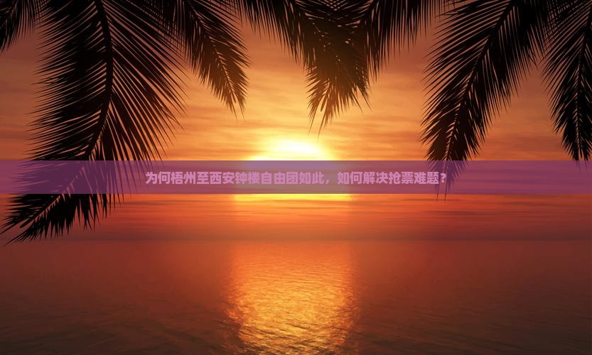 为何梧州至西安钟楼自由团如此，如何解决抢票难题？