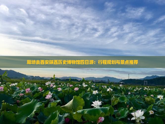 廊坊去西安陕西历史博物馆四日游：行程规划与景点推荐