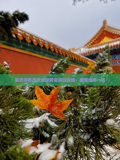 吴忠游客西安城墙景区游玩攻略：哪里值得一去