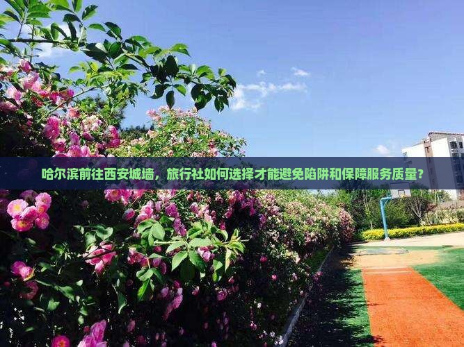 哈尔滨前往西安城墙，旅行社如何选择才能避免陷阱和保障服务质量？