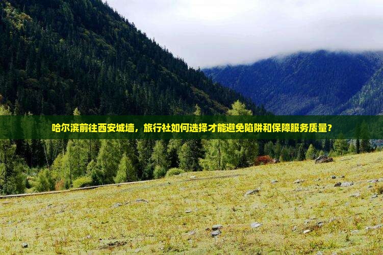 哈尔滨前往西安城墙，旅行社如何选择才能避免陷阱和保障服务质量？