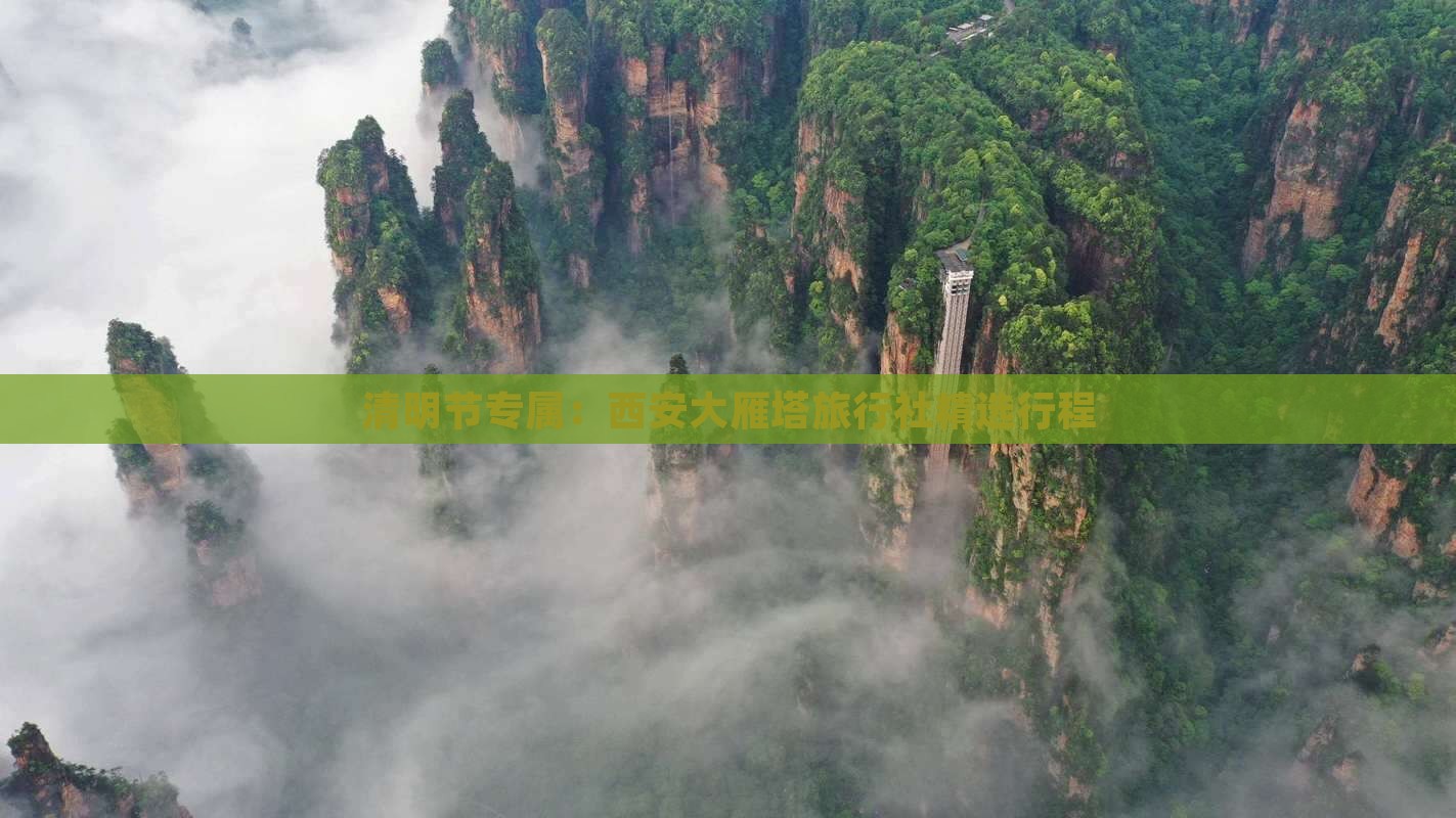 清明节专属：西安大雁塔旅行社精选行程