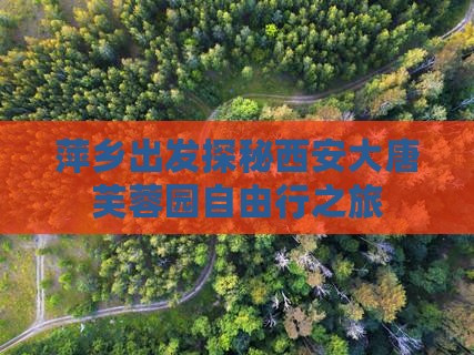 萍乡出发探秘西安大唐芙蓉园自由行之旅