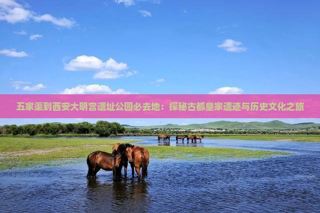 五家渠到西安大明宫遗址公园必去地：探秘古都皇家遗迹与历史文化之旅