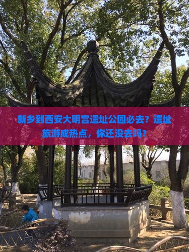 新乡到西安大明宫遗址公园必去？遗址旅游成热点，你还没去吗？