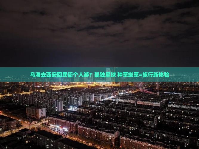 乌海去西安回民街个人游？孤独星球+种草拔草=旅行新体验