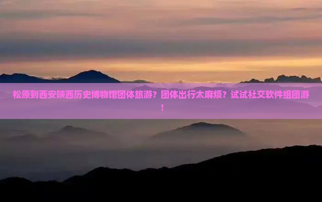 松原到西安陕西历史博物馆团体旅游？团体出行太麻烦？试试社交软件组团游！