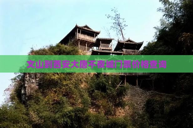 文山到西安大唐不夜城门票价格查询