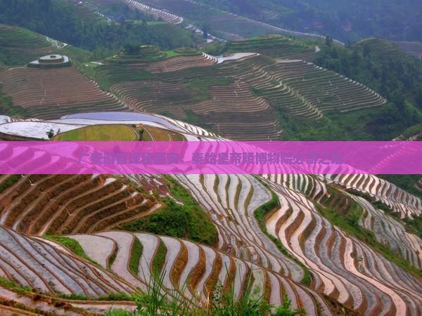 广安游客探秘西安：秦始皇帝陵博物院必游之地