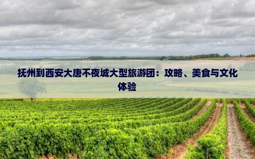 抚州到西安大唐不夜城大型旅游团：攻略、美食与文化体验