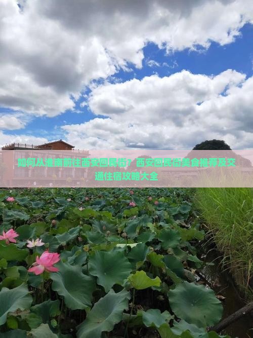 如何从淮南前往西安回民街？西安回民街美食推荐及交通住宿攻略大全