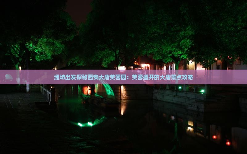 潍坊出发探秘西安大唐芙蓉园：芙蓉盛开的大唐景点攻略