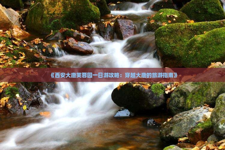 《西安大唐芙蓉园一日游攻略：穿越大唐的旅游指南》