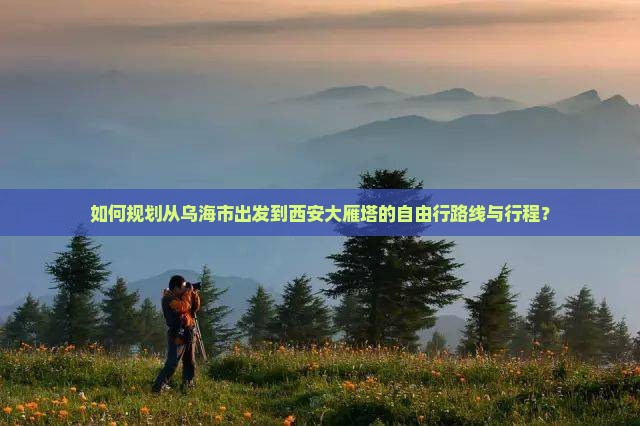 如何规划从乌海市出发到西安大雁塔的自由行路线与行程？