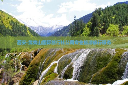 西安-武夷山国际旅行社公司专业旅游旅行服务