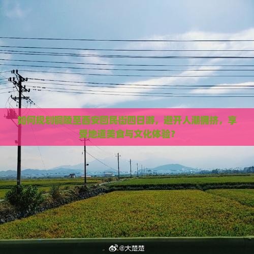 如何规划铜陵至西安回民街四日游，避开人潮拥挤，享受地道美食与文化体验？