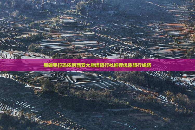 新疆克拉玛依到西安大雁塔旅行社推荐优质旅行线路