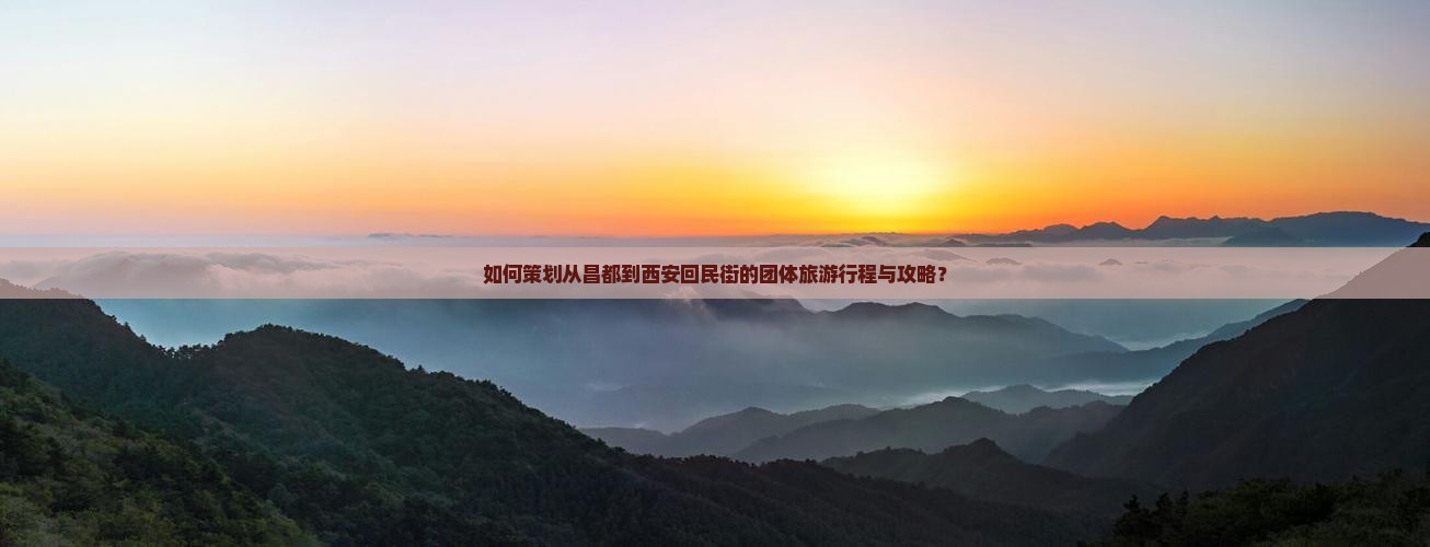 如何策划从昌都到西安回民街的团体旅游行程与攻略？