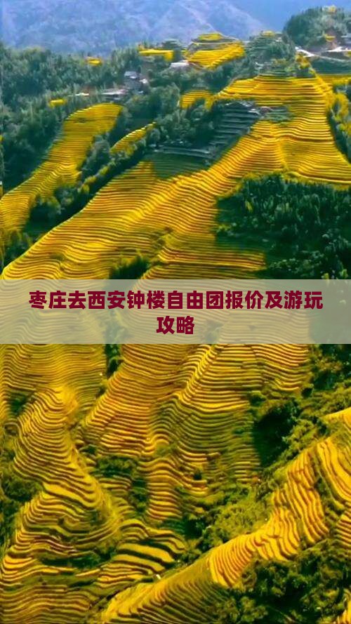 枣庄去西安钟楼自由团报价及游玩攻略