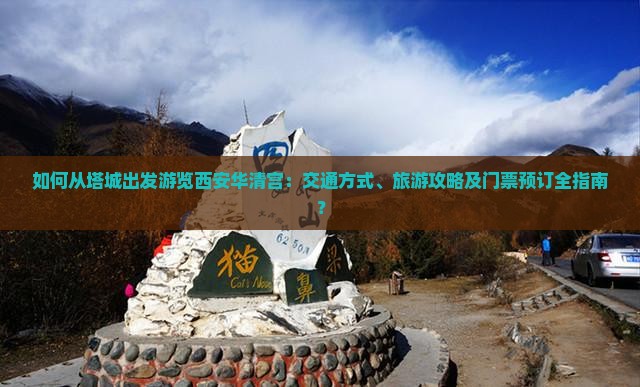 如何从塔城出发游览西安华清宫：交通方式、旅游攻略及门票预订全指南？
