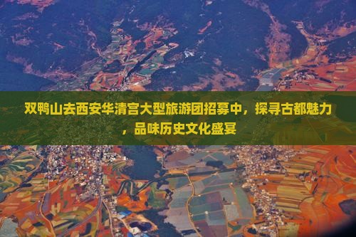 双鸭山去西安华清宫大型旅游团招募中，探寻古都魅力，品味历史文化盛宴