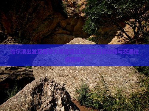 哈尔滨出发至西安大明宫遗址公园二日游攻略与交通住宿指南？