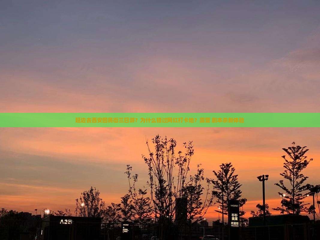 延边去西安回民街三日游？为什么错过网红打卡地？露营+剧本杀新体验