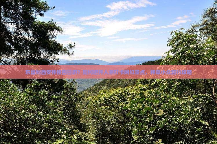 东营到西安钟楼四日游？如何避开人潮打卡网红景点，种草小众旅行攻略