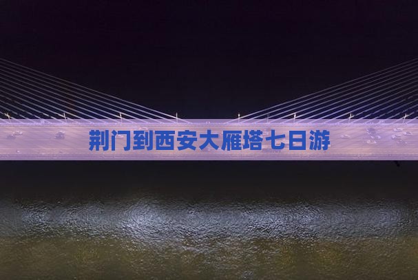 荆门到西安大雁塔七日游