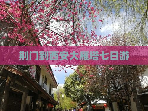 荆门到西安大雁塔七日游