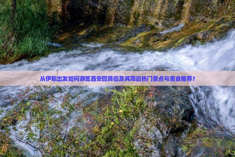 从伊犁出发如何游览西安回民街及其周边热门景点与美食推荐？