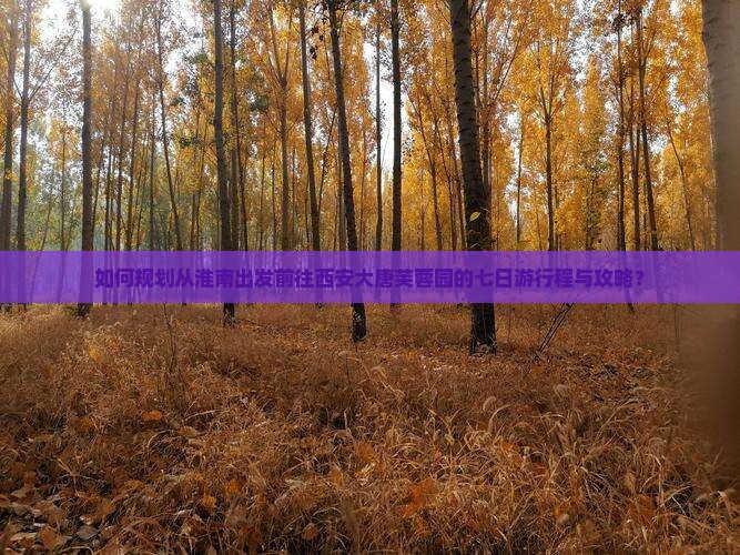 如何规划从淮南出发前往西安大唐芙蓉园的七日游行程与攻略？