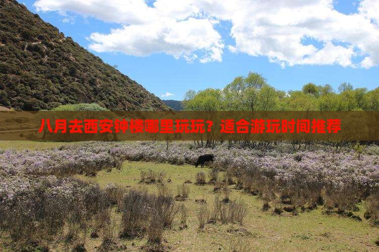 八月去西安钟楼哪里玩玩？适合游玩时间推荐