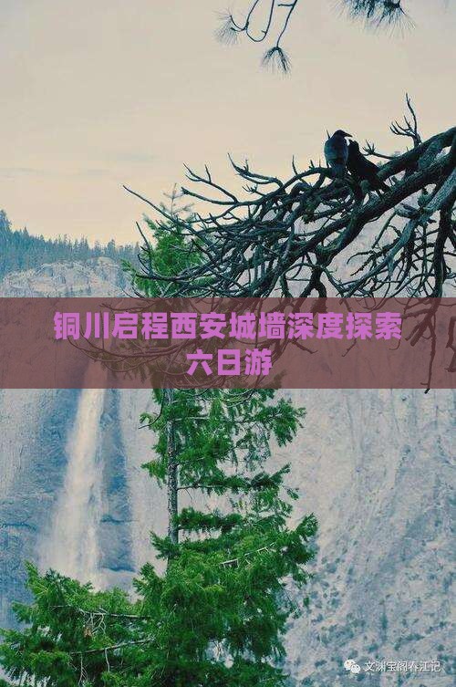 铜川启程西安城墙深度探索六日游